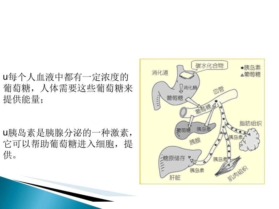 《糖尿病用药》PPT课件_第14页