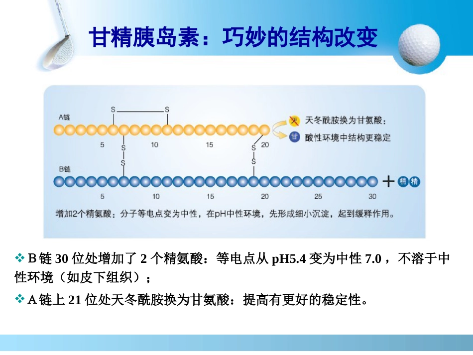 长秀霖-安全有效的基础胰岛素_第4页
