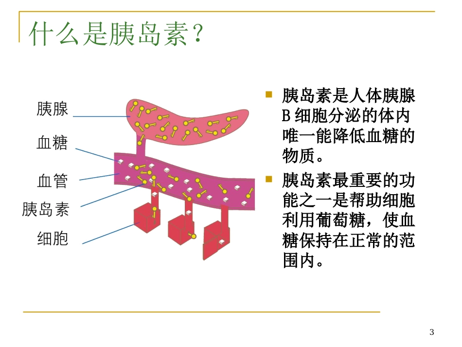 胰岛素的正确使用及注意事项ppt课件_第3页