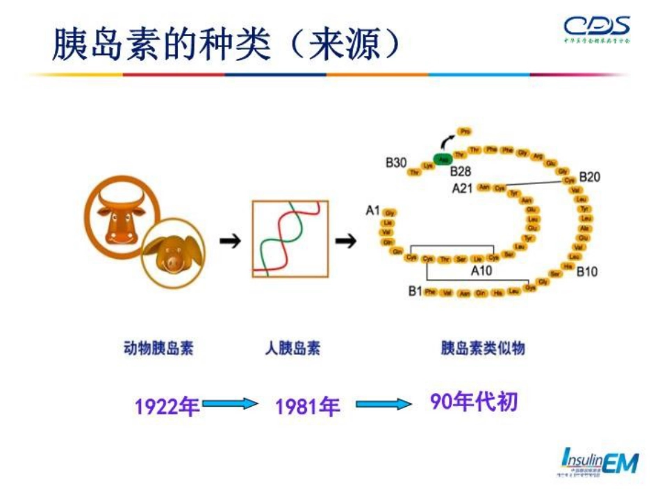 胰岛素的使用与管理-PPT课件_第6页