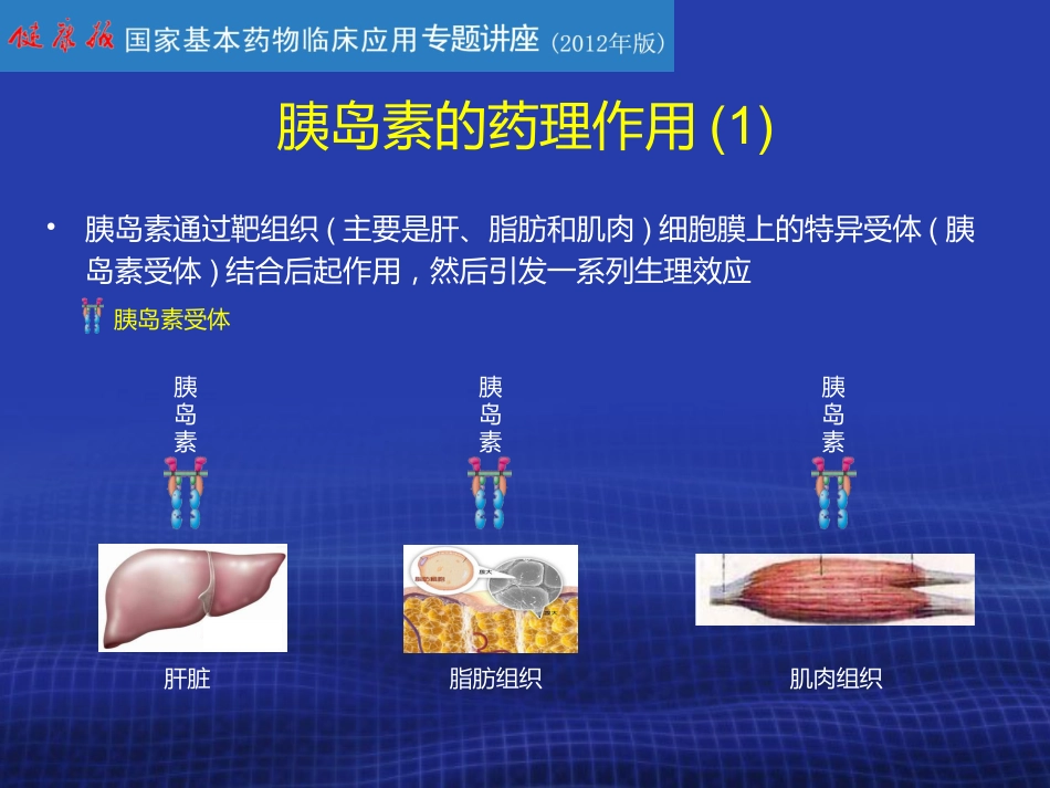 胰岛素的合理使用PPT课件_第3页