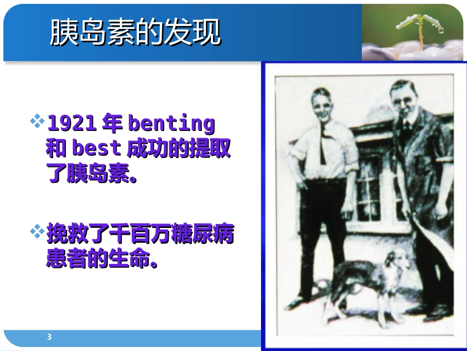 胰岛素的分类及使用方法PPT课件_第3页