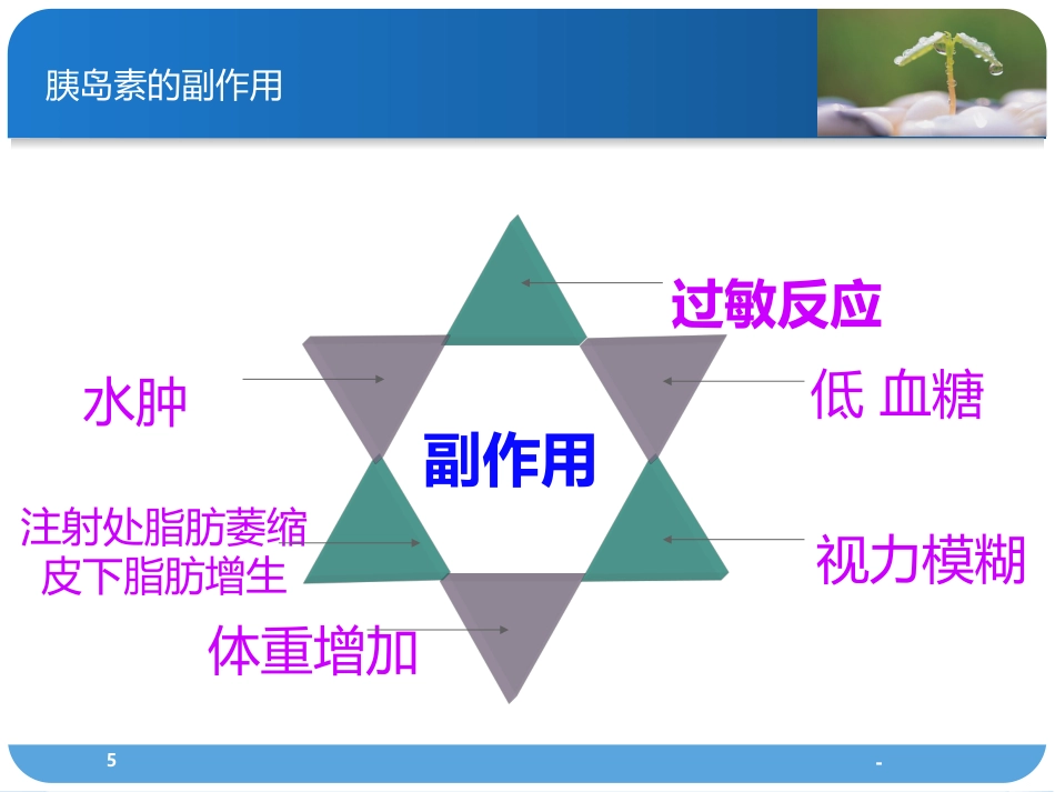 胰岛素的分类及使用方法PPT课件_第5页