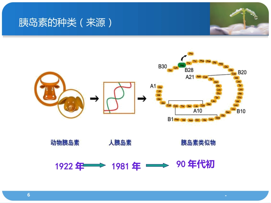 胰岛素的分类及使用方法PPT课件_第6页