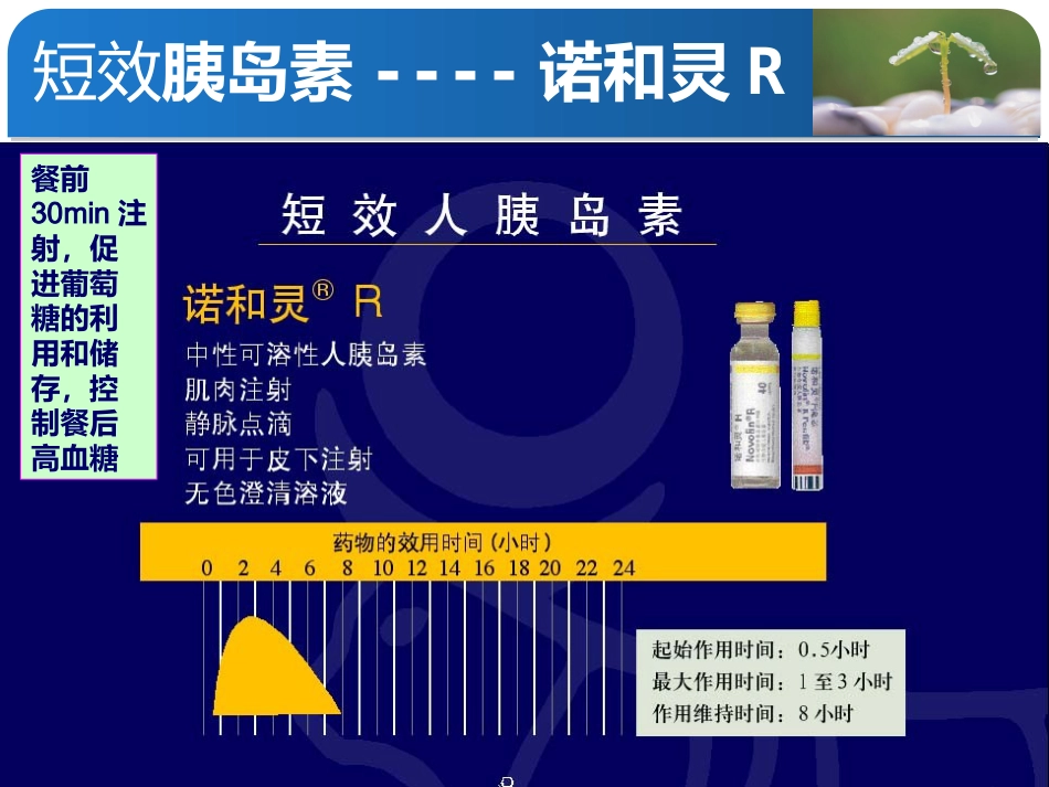 胰岛素的分类及使用方法PPT课件_第8页