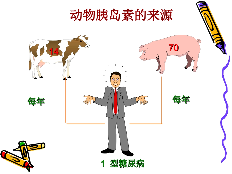 胰岛素的发展史_第12页
