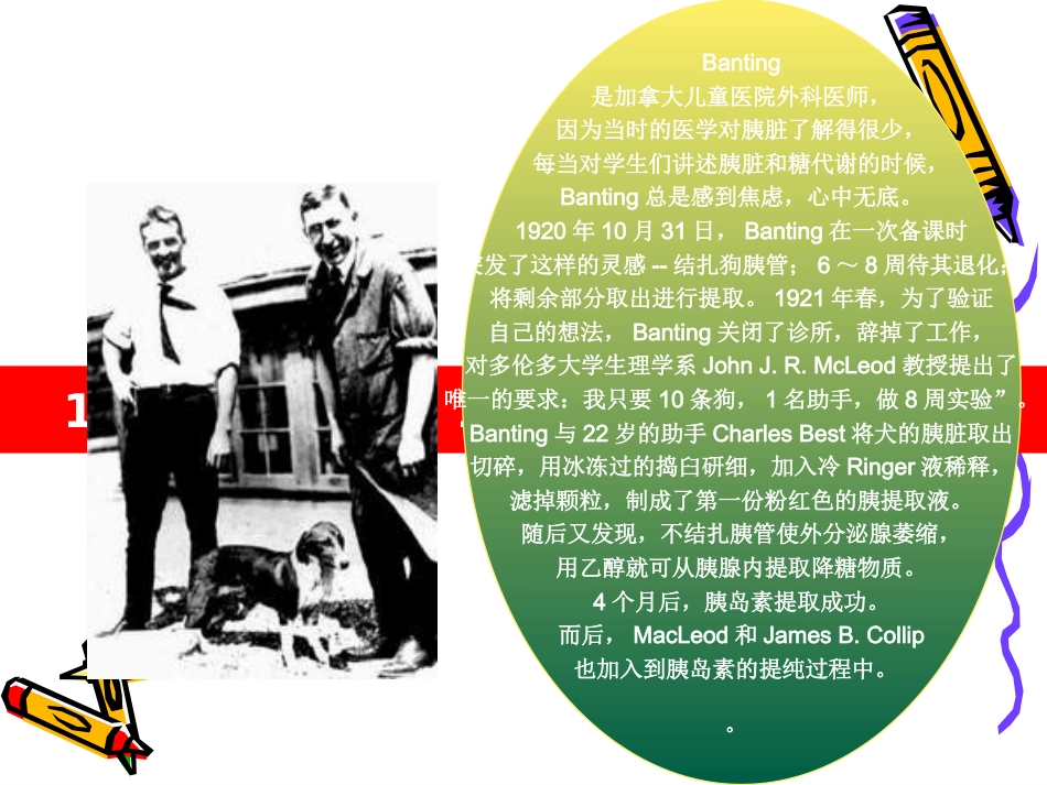 胰岛素的发展史_第4页