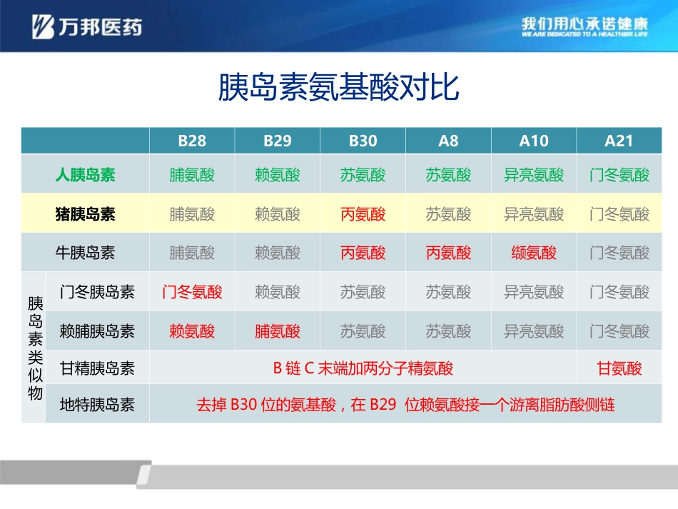 万邦胰岛素注射液_第5页
