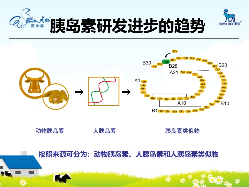 如何正确使用胰岛素PPT课件_第12页