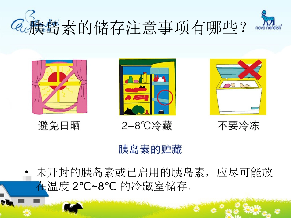 如何正确使用胰岛素PPT课件_第15页