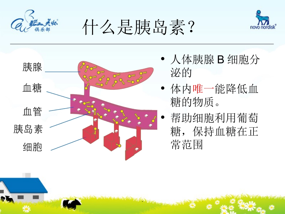 如何正确使用胰岛素PPT课件_第3页