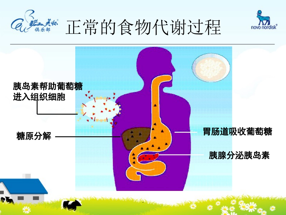 如何正确使用胰岛素PPT课件_第5页