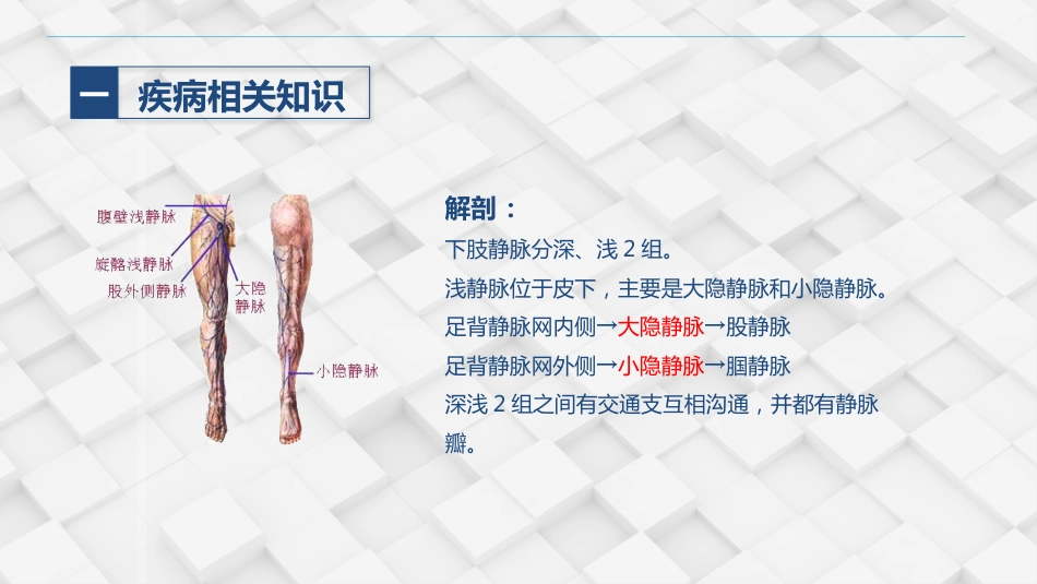 血管外科-下肢静脉曲张的护理查房_第4页