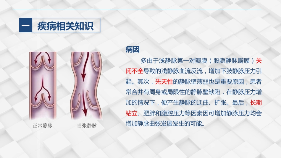 血管外科-下肢静脉曲张的护理查房_第6页