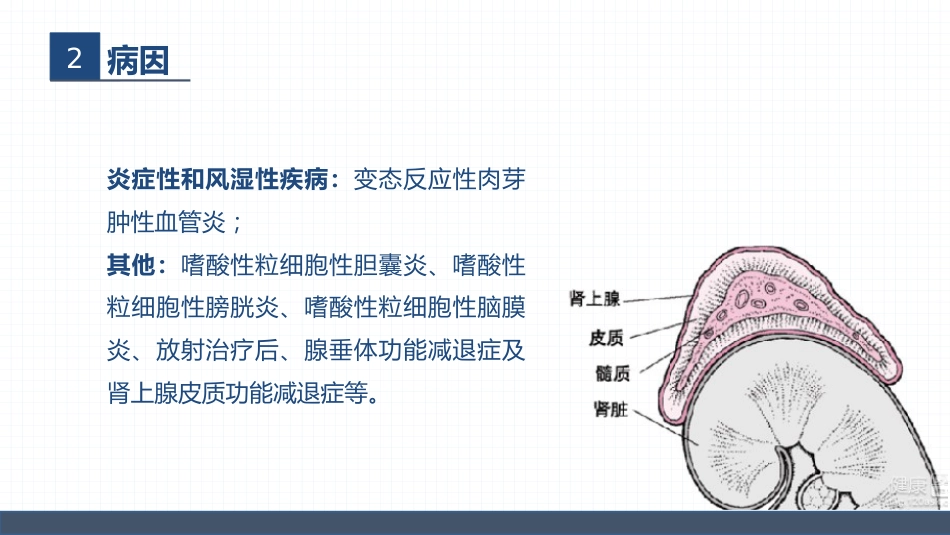 血液内科-嗜酸细胞增多症的护理查房_第8页