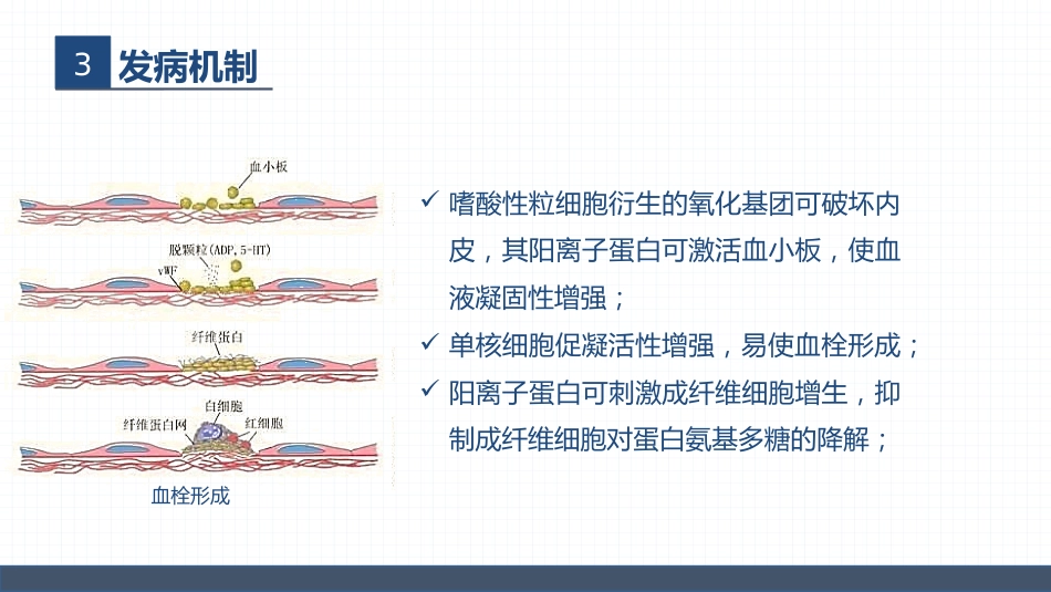 血液内科-嗜酸细胞增多症的护理查房_第9页