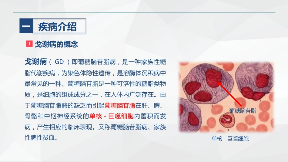 戈谢综合症的护理_第4页
