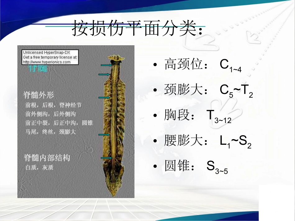 脊髓损伤的康复_第14页