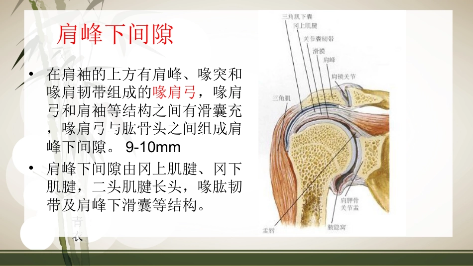 肩袖损伤术后的康复_第10页