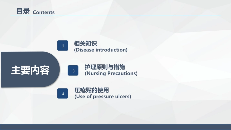 压疮的护理_第2页