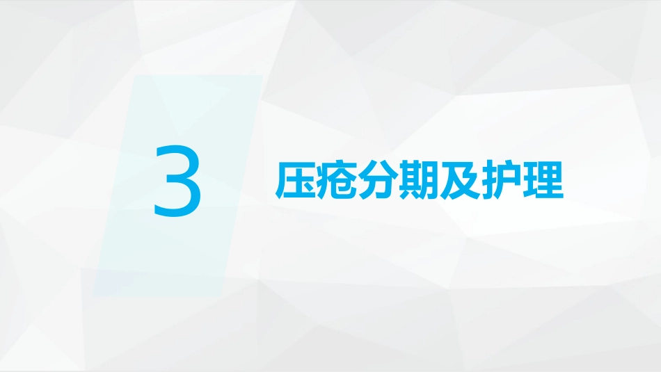 压疮护理_第13页