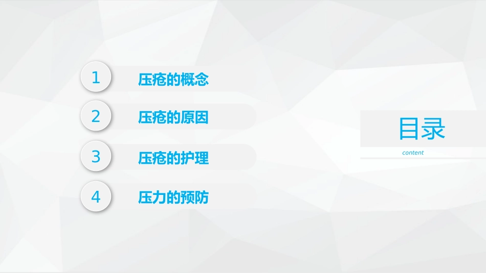 压疮护理_第2页