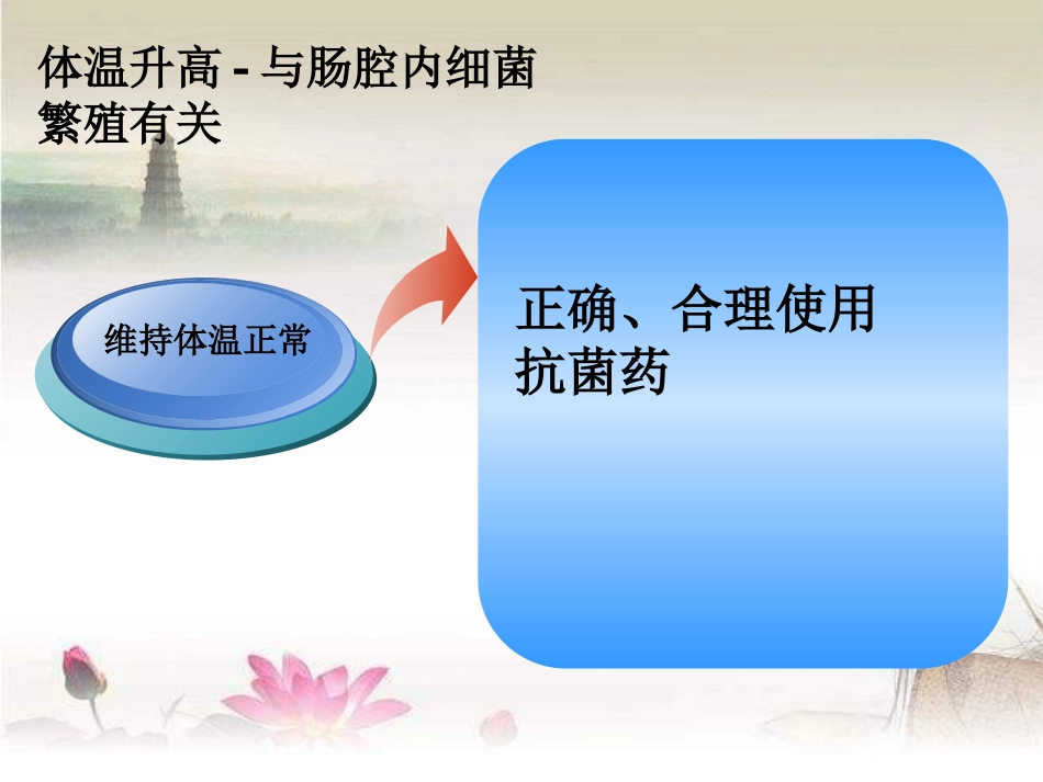肠梗阻的术后护理ppt_第12页