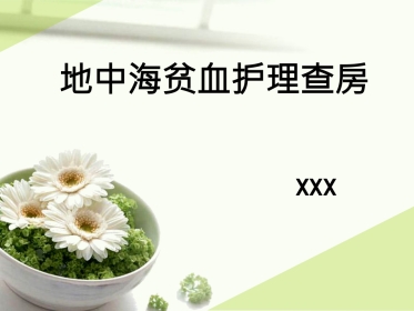 地中海贫血护理查房PPT