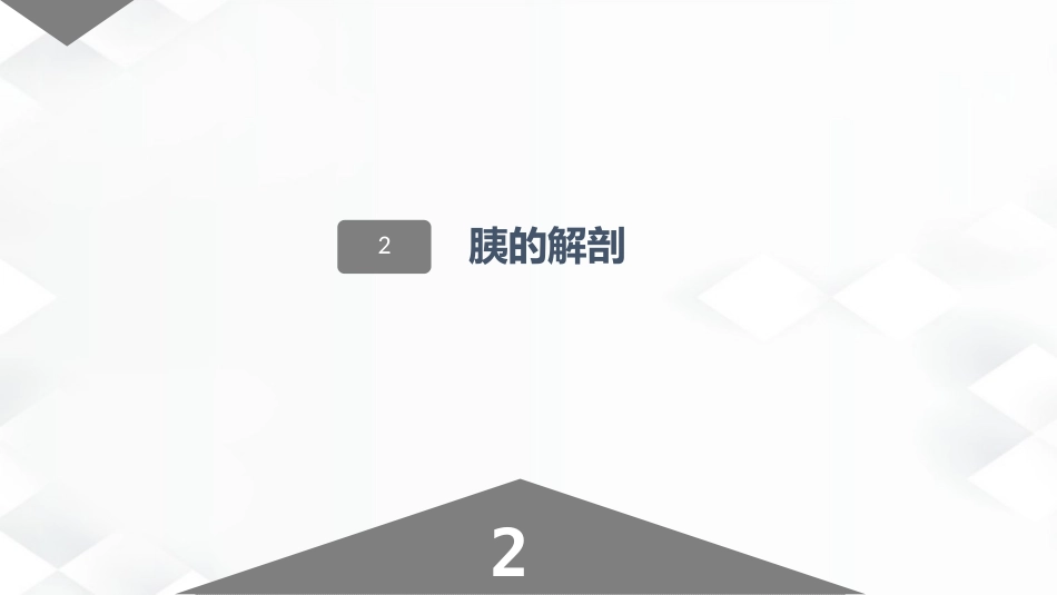 肝胆胰的解剖结构_第14页