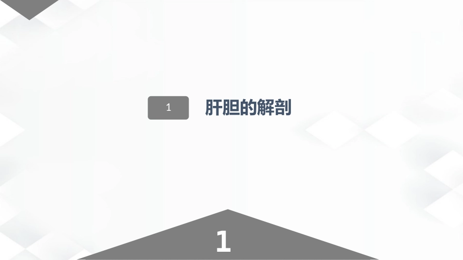 肝胆胰的解剖结构_第2页