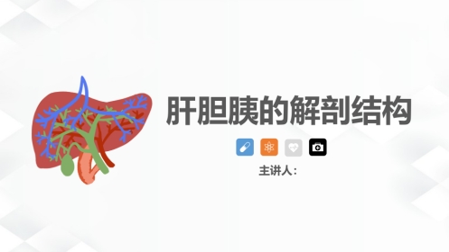 肝胆胰的解剖结构