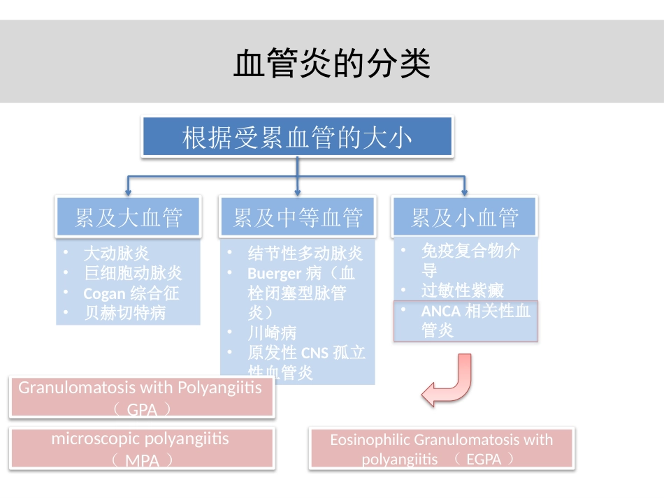 anca相关血管炎诊治进展_第3页