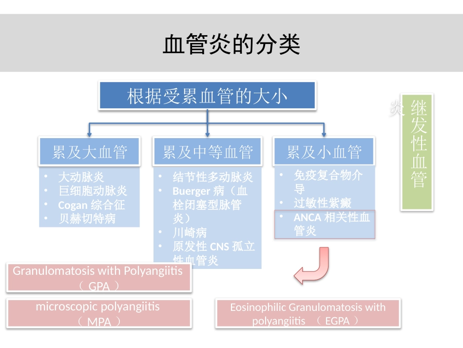 anca相关血管炎诊治进展_第4页