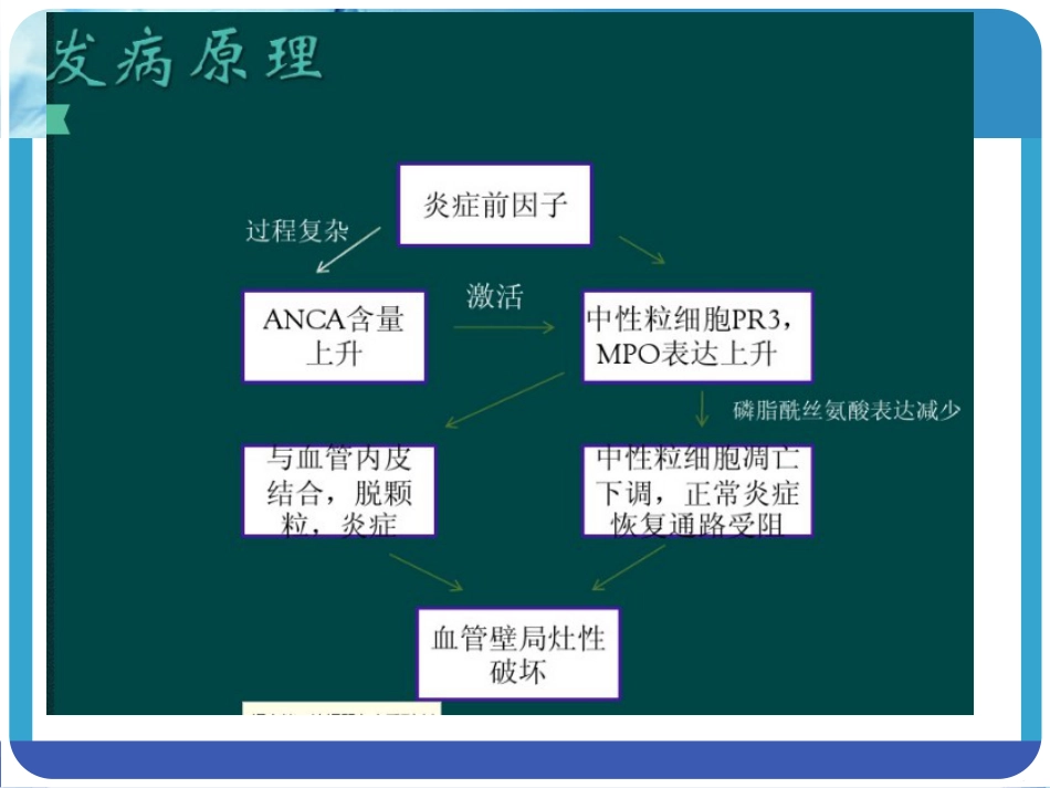 ANCA相关血管炎_第8页