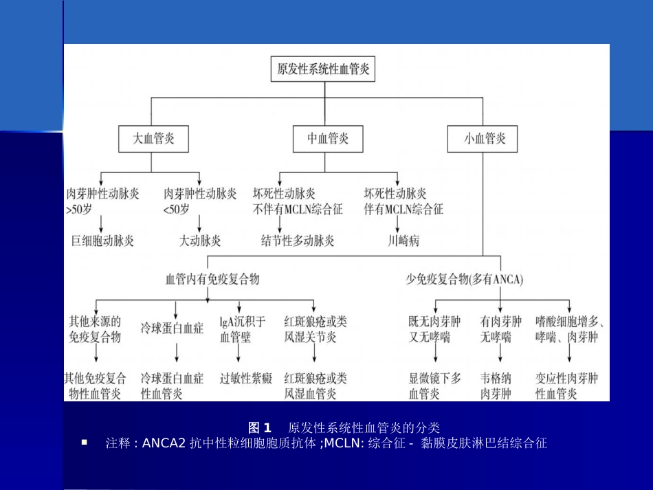 ANCA相关性血管炎诊疗进展_第5页
