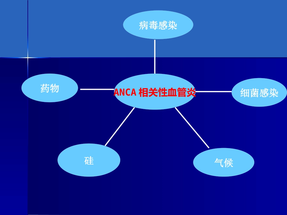ANCA相关性血管炎诊疗进展_第8页