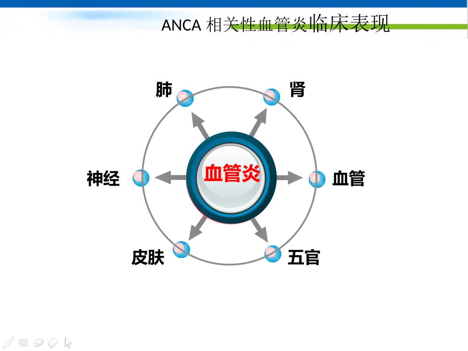 ANCA相关性血管炎诊断思路_第10页