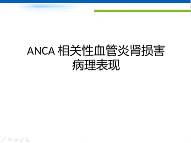 ANCA相关性血管炎肾损害病理表现