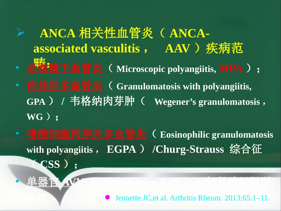 ANCA相关性血管炎的诊治进展 PPT_第4页