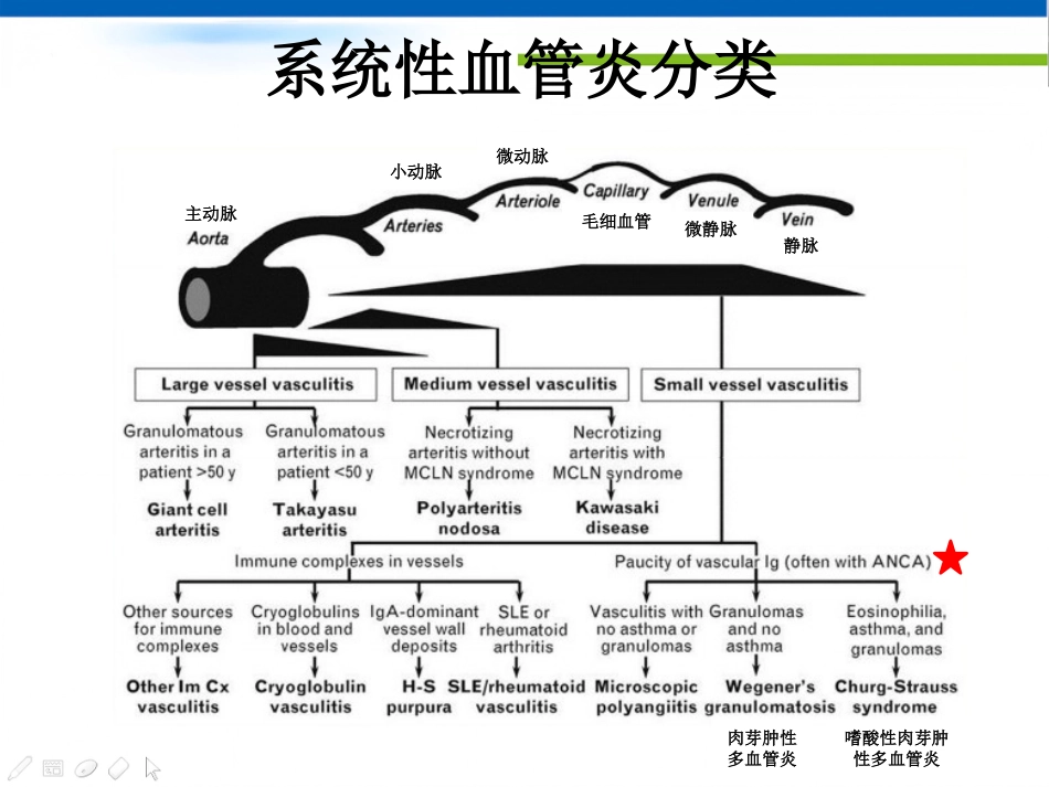 ANCA相关性血管炎(1)_第3页