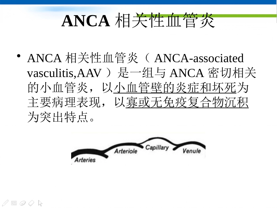 ANCA相关性血管炎(1)_第6页
