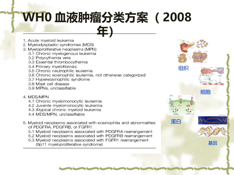 白血病基因筛查_第3页