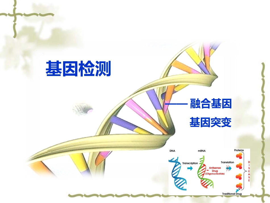白血病基因筛查_第4页