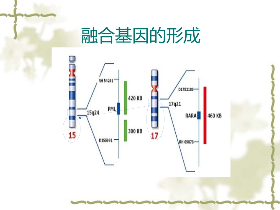 白血病基因筛查_第5页