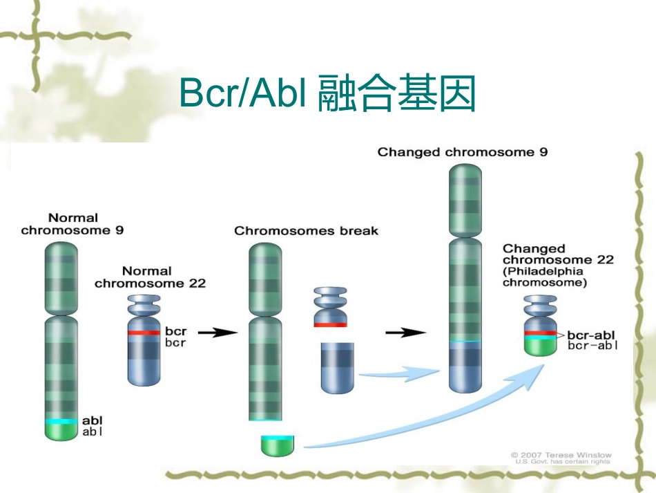 白血病基因筛查_第6页