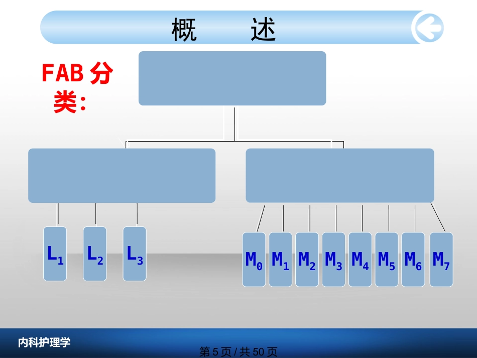 白血病病人护理_第5页