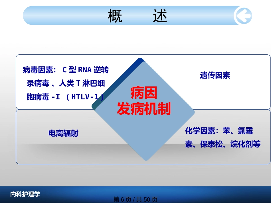 白血病病人护理_第6页