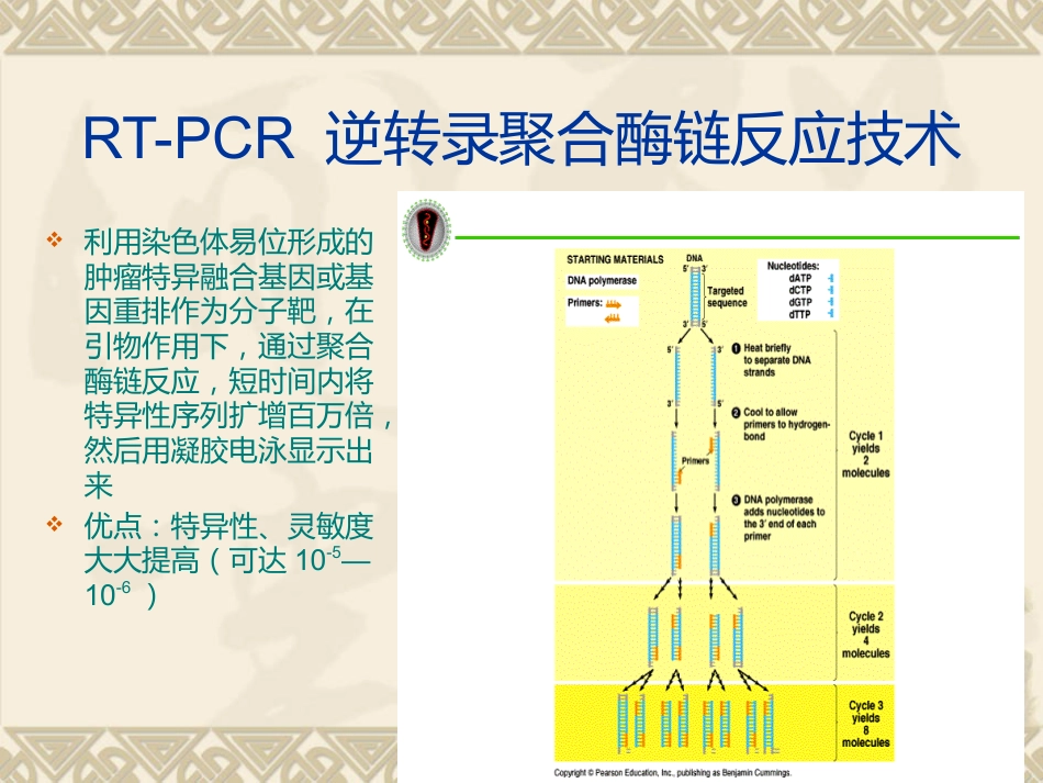 白血病微小残留病灶_第12页