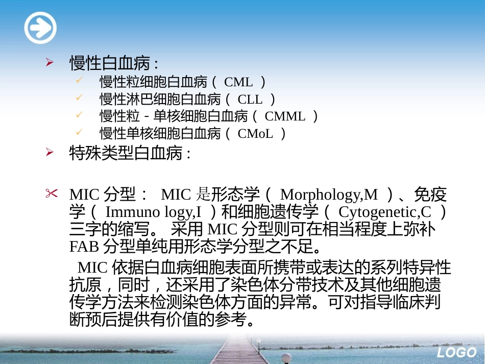 白血病淋巴瘤ppt_第5页