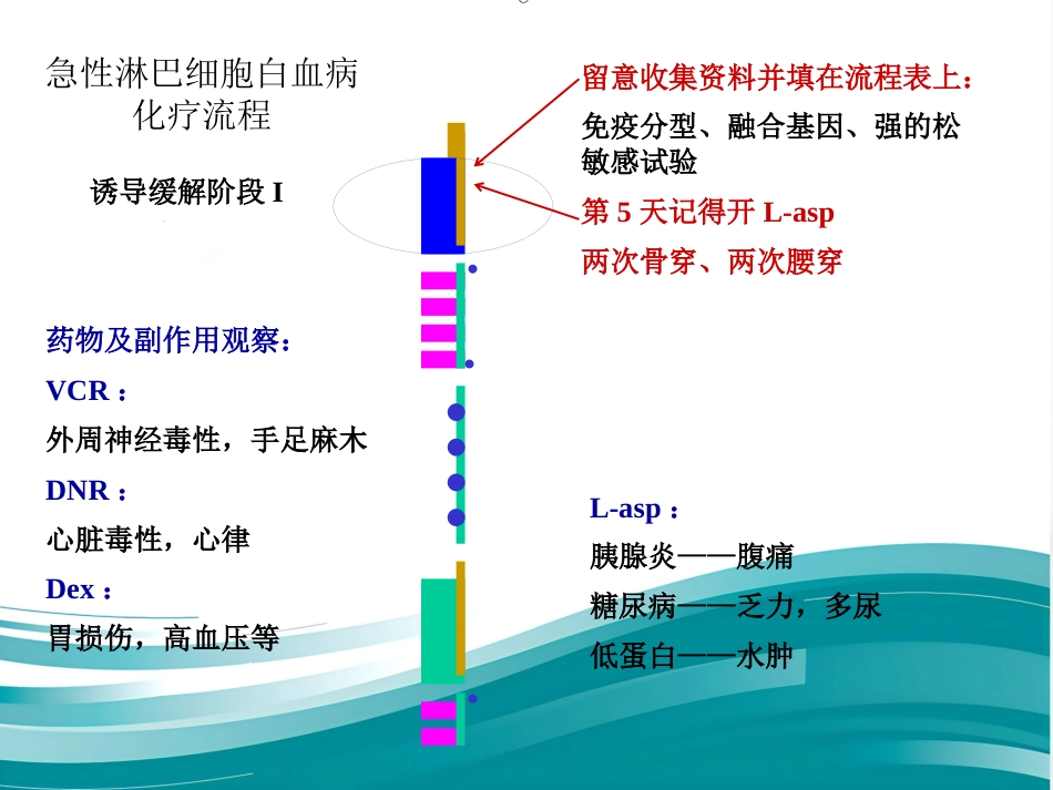 白血病化疗流程_第3页